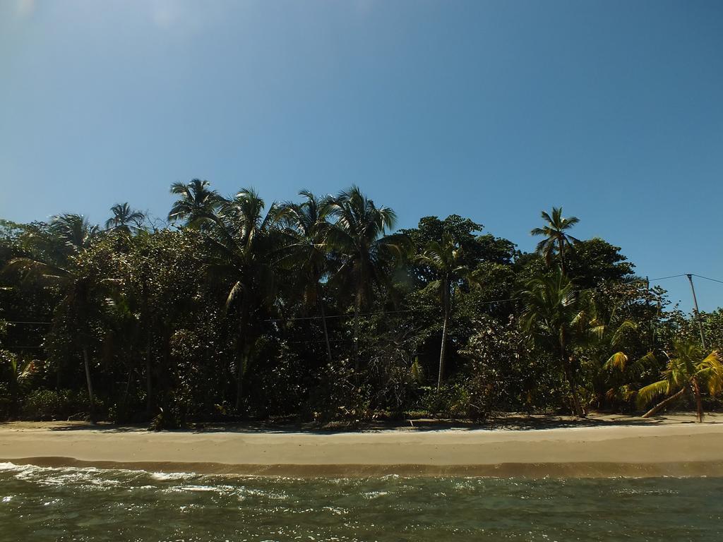 Cabinas Caribe Luna Кахуіта Екстер'єр фото