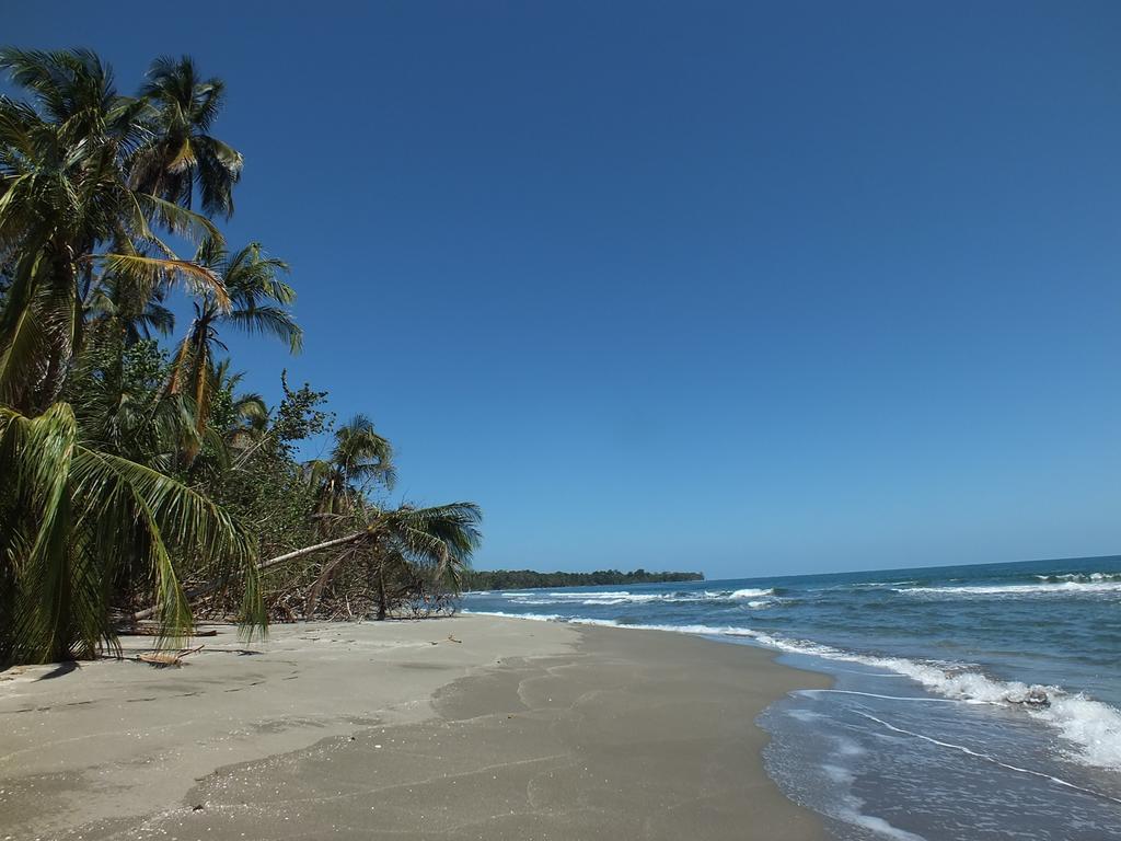 Cabinas Caribe Luna Кахуіта Екстер'єр фото