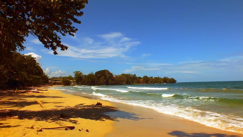 Cabinas Caribe Luna Кахуіта Екстер'єр фото