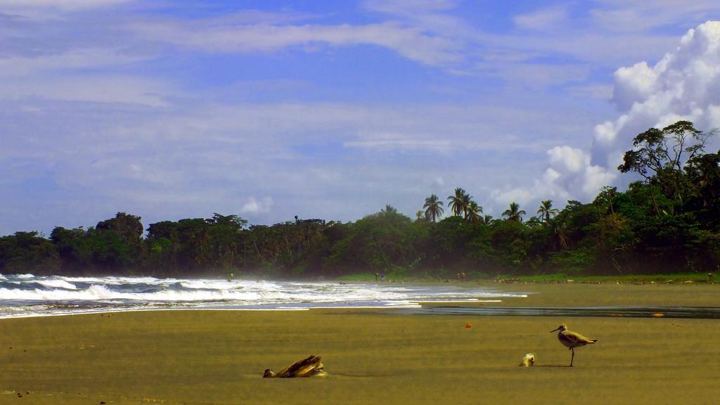 Cabinas Caribe Luna Кахуіта Екстер'єр фото