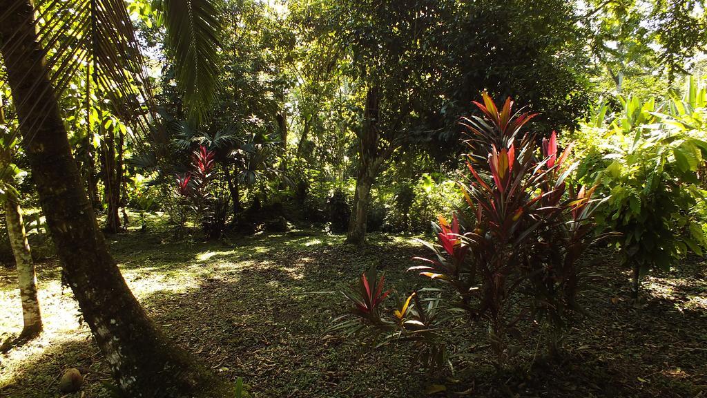 Cabinas Caribe Luna Кахуіта Екстер'єр фото