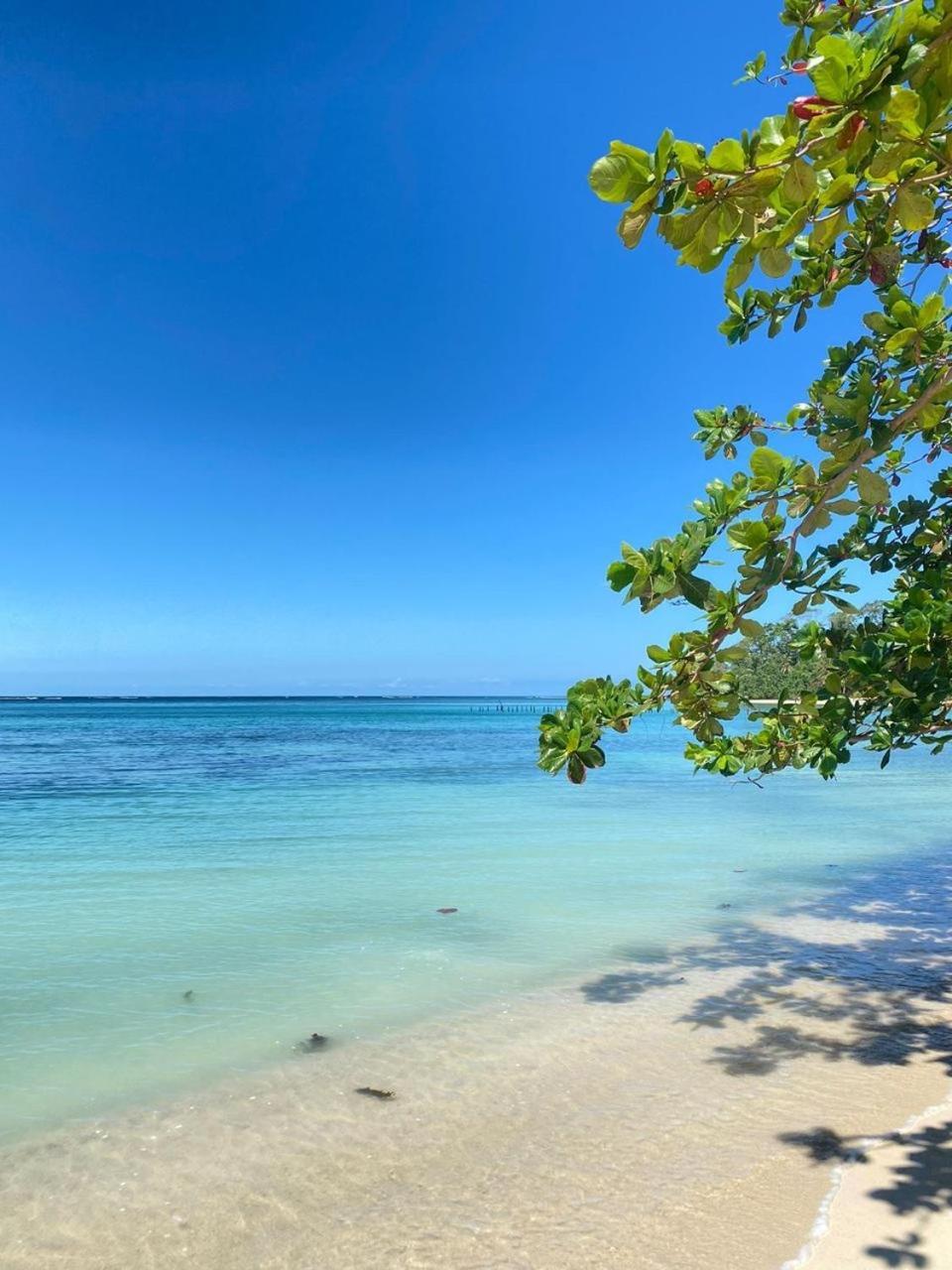 Cabinas Caribe Luna Кахуіта Екстер'єр фото
