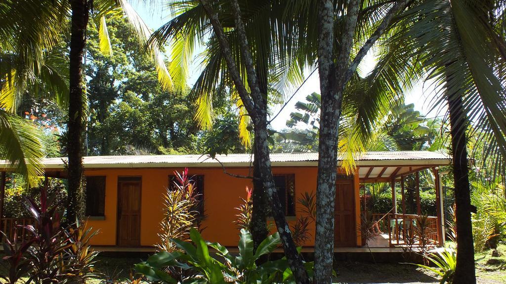 Cabinas Caribe Luna Кахуіта Екстер'єр фото