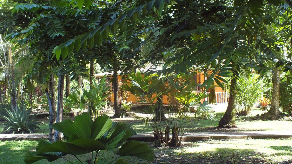 Cabinas Caribe Luna Кахуіта Екстер'єр фото