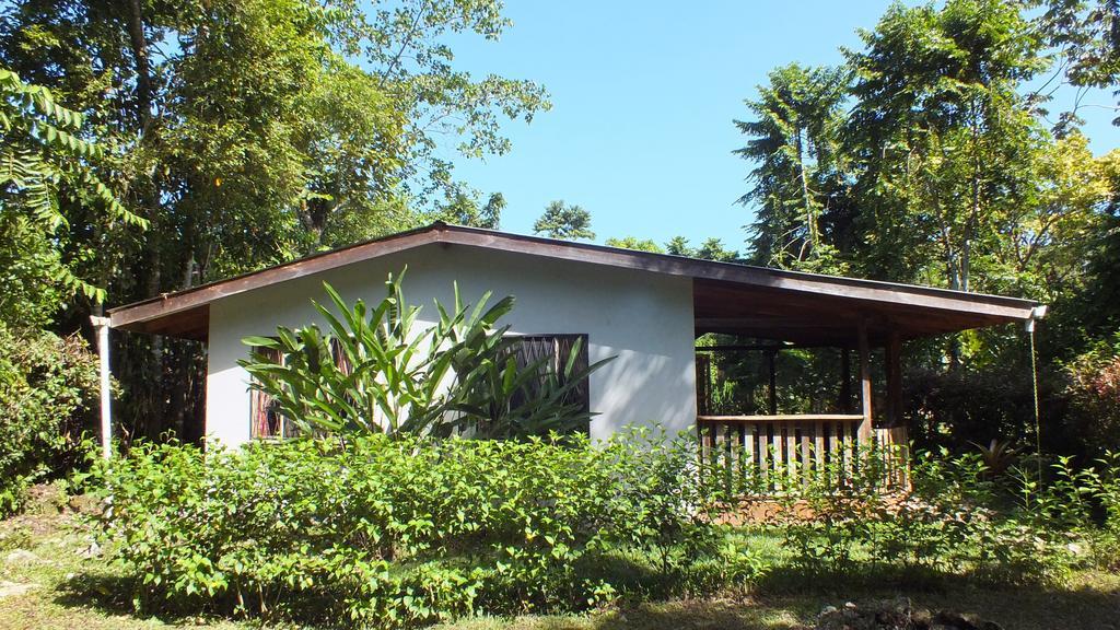 Cabinas Caribe Luna Кахуіта Екстер'єр фото